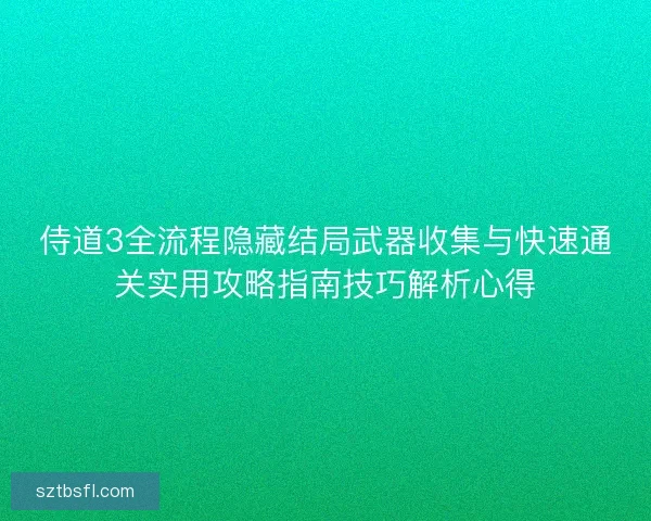 侍道3全流程隐藏结局武器收集与快速通关实用攻略指南技巧解析心得